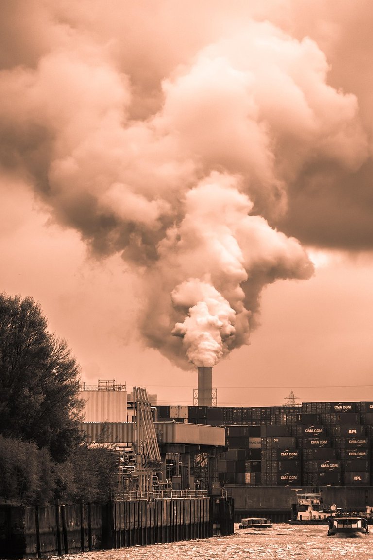 Pollution Is Not Just Around Us, It's Inside Us 