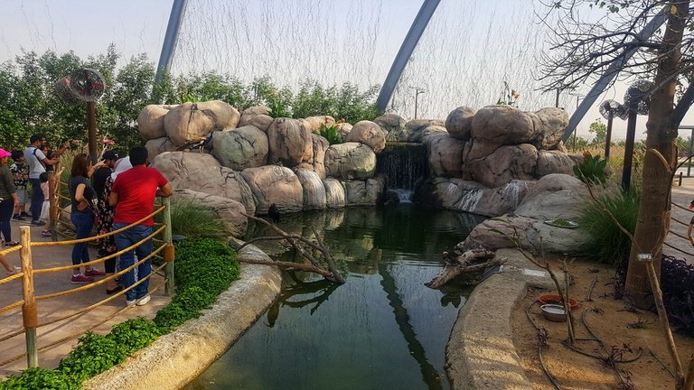 dubai_zoo_23_01.jpeg