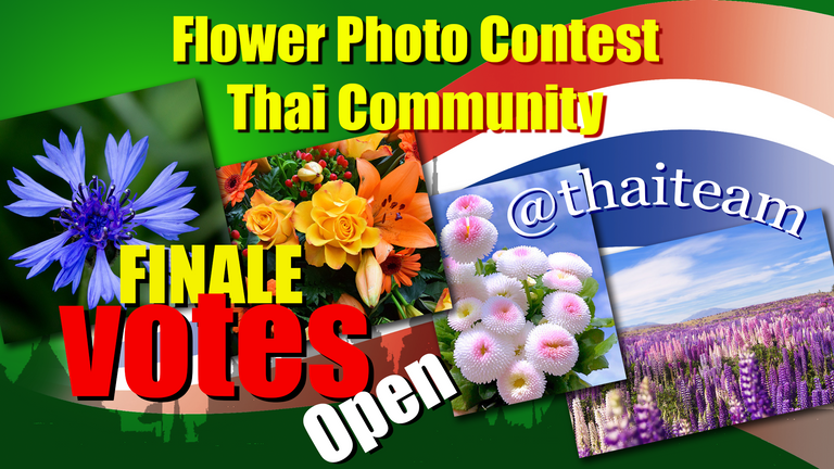 flower_photography_finale_votes_n5.png