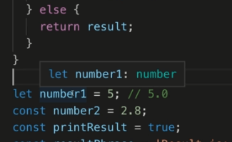 Display the type of a variable