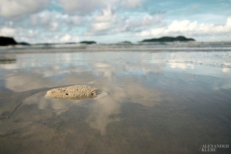 2009_thai_kohchang_575.jpg