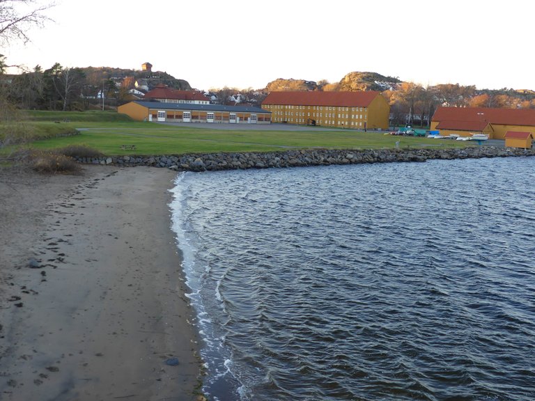 8p1310330_edited.jpg