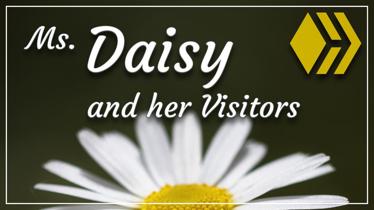 Miss Daisy and her Visitors