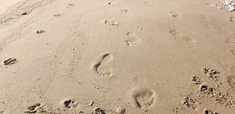 footprint_8u.jpg