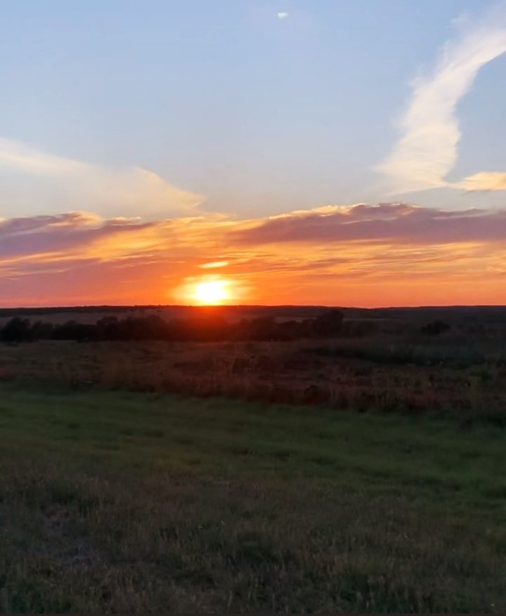 20220412_004601.jpg