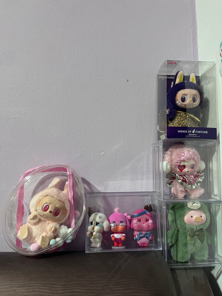 These are some of my collection of labubus and some of the plushies. This collection is constantly increasing as time passes. 