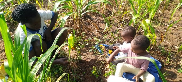 Planting Is Sweet Harvest Is Sweeter