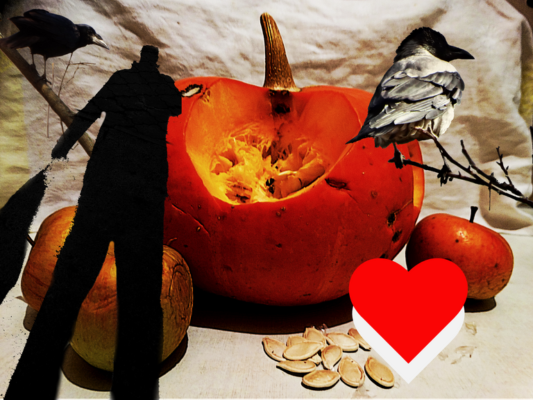 Blitz Contest #16 - Guess what's behind the scenes - Prize 1 CTP 5 PAL 5 SPT coin in liquid - How many pumpkin seeds did the crows eat?