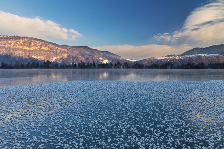 Frozen Morning at the Reservoir