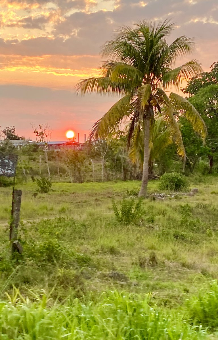 Cuando veo estos colores ya se que estoy en casa.