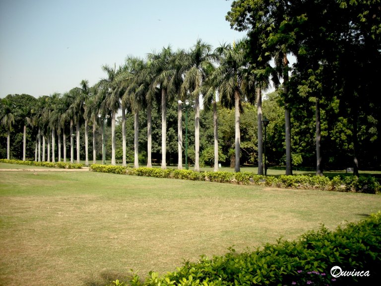 red_fort_lodhi_gardens_y_ma_s_093