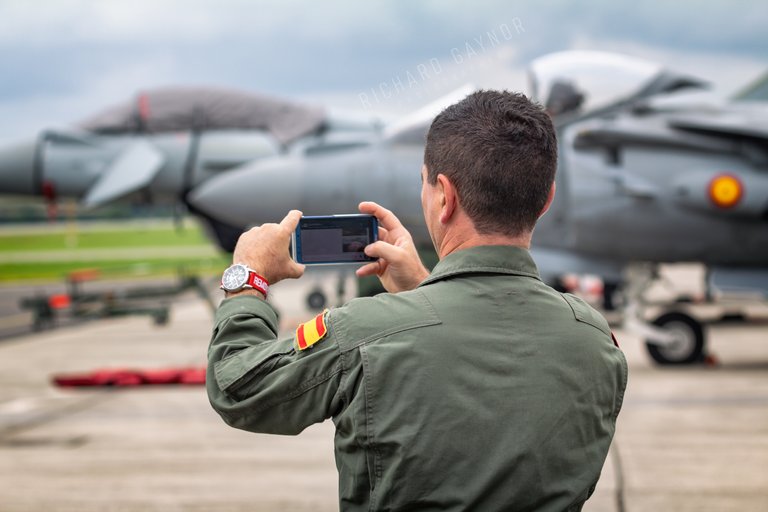 spanish_harrier_img_4052_edit_edit.jpg