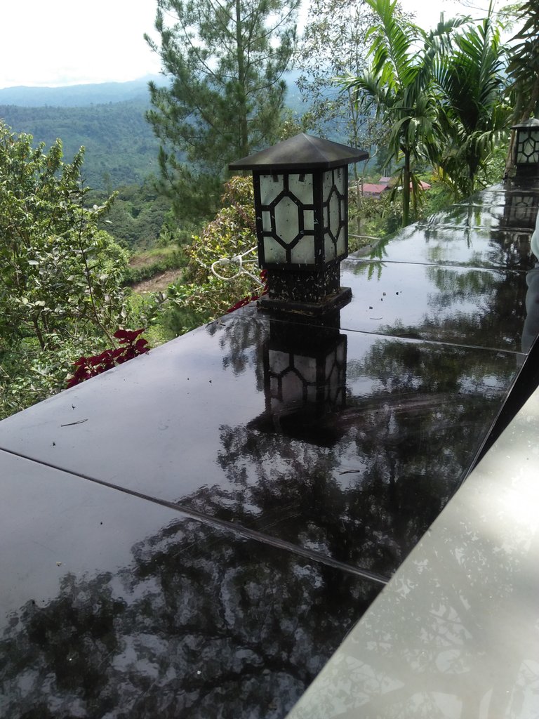 img20220303142034.jpg
