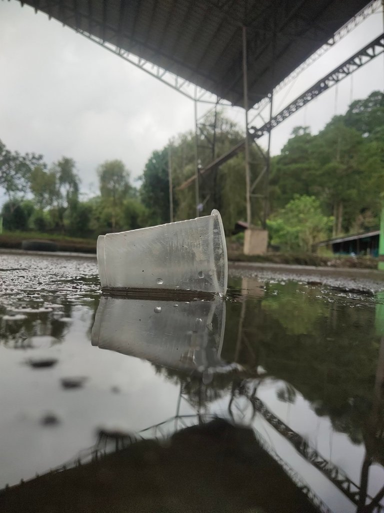 Reflection Hunters 226 : From Trash to Model