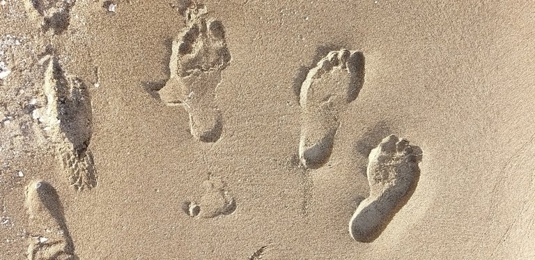 footprint_2u.jpg
