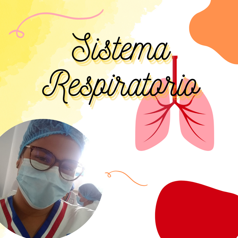 sistema_respiratorio_