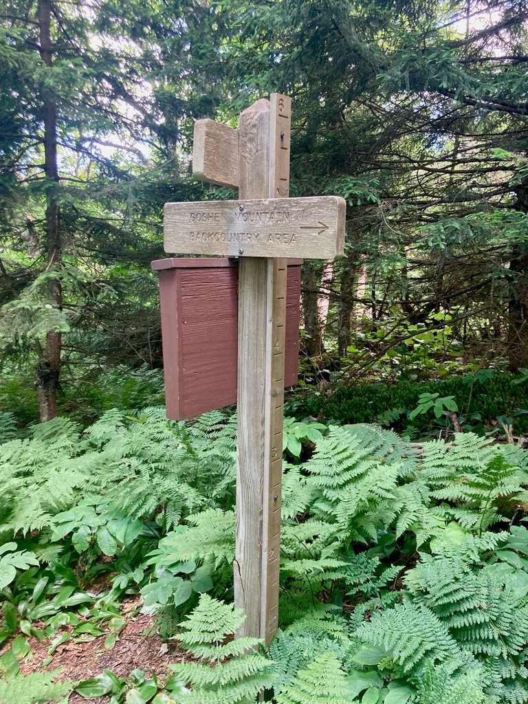 Goshen Mountain