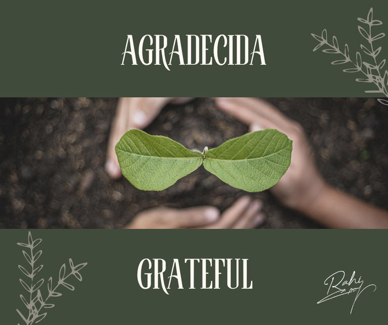 [ESP - ENG] Cultivando una actitud # 2 - Agradecida / Planting an attitude # 2 - Grateful