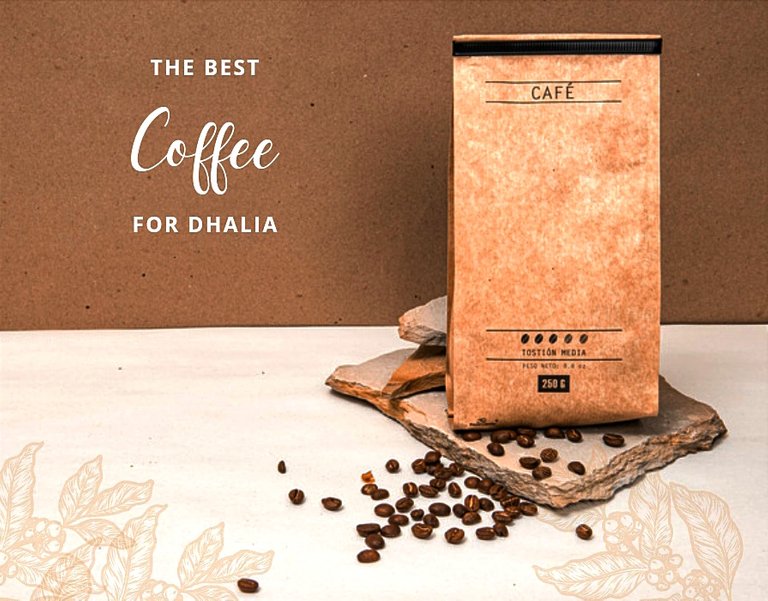 The Strange Coffee Lover —The Best For Dhalia