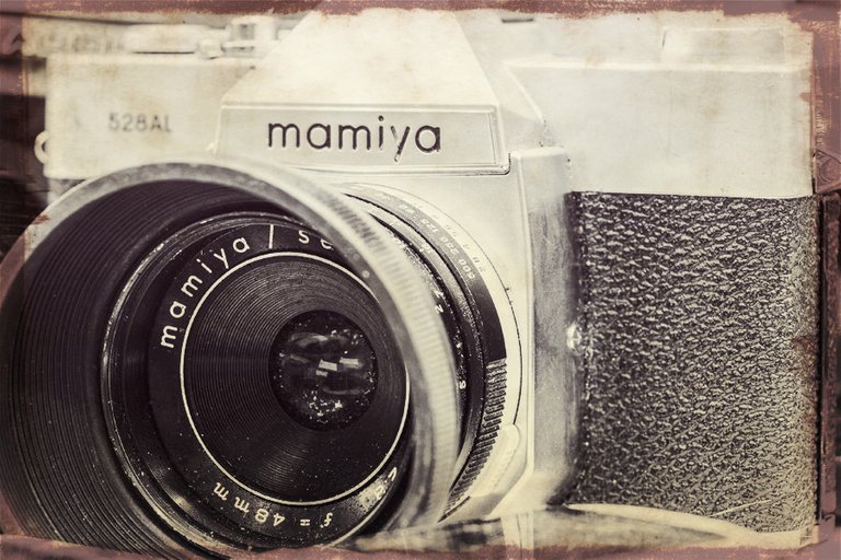 mamiya_filter_21_.jpg