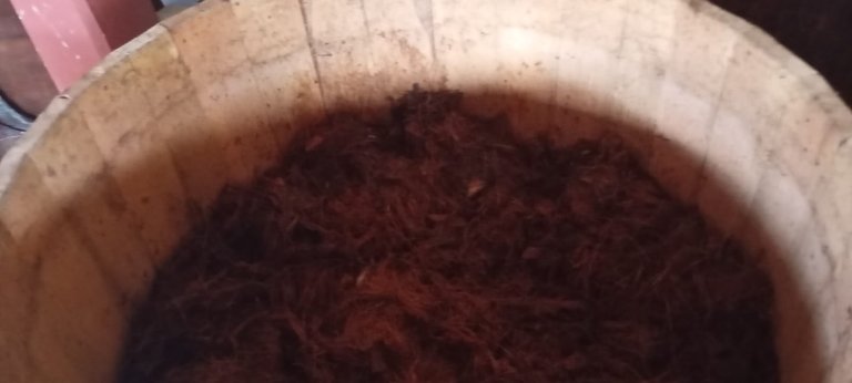 Mosto de fermentación en la Cuba