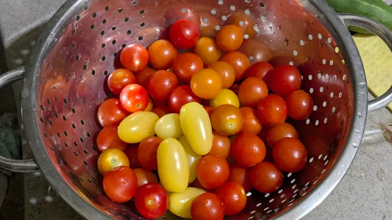 cherryfresh.webp