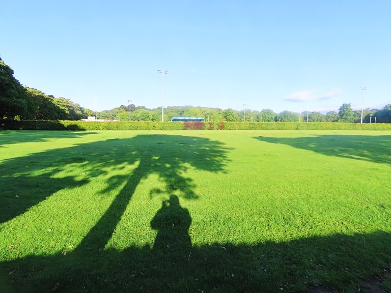 A natural Shadow Hunters Smash contest 281 entry from the park