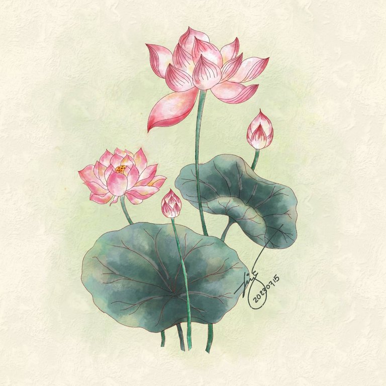 Lotus Digital Art 