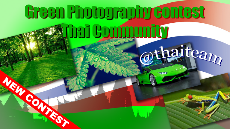 green_photography_contest_2.png
