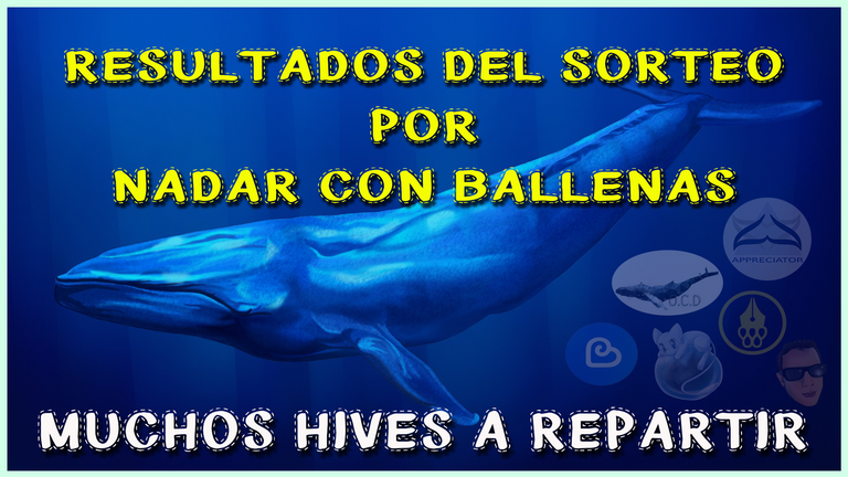 resultados_del_sorteo_nadando_con_ballenas.png