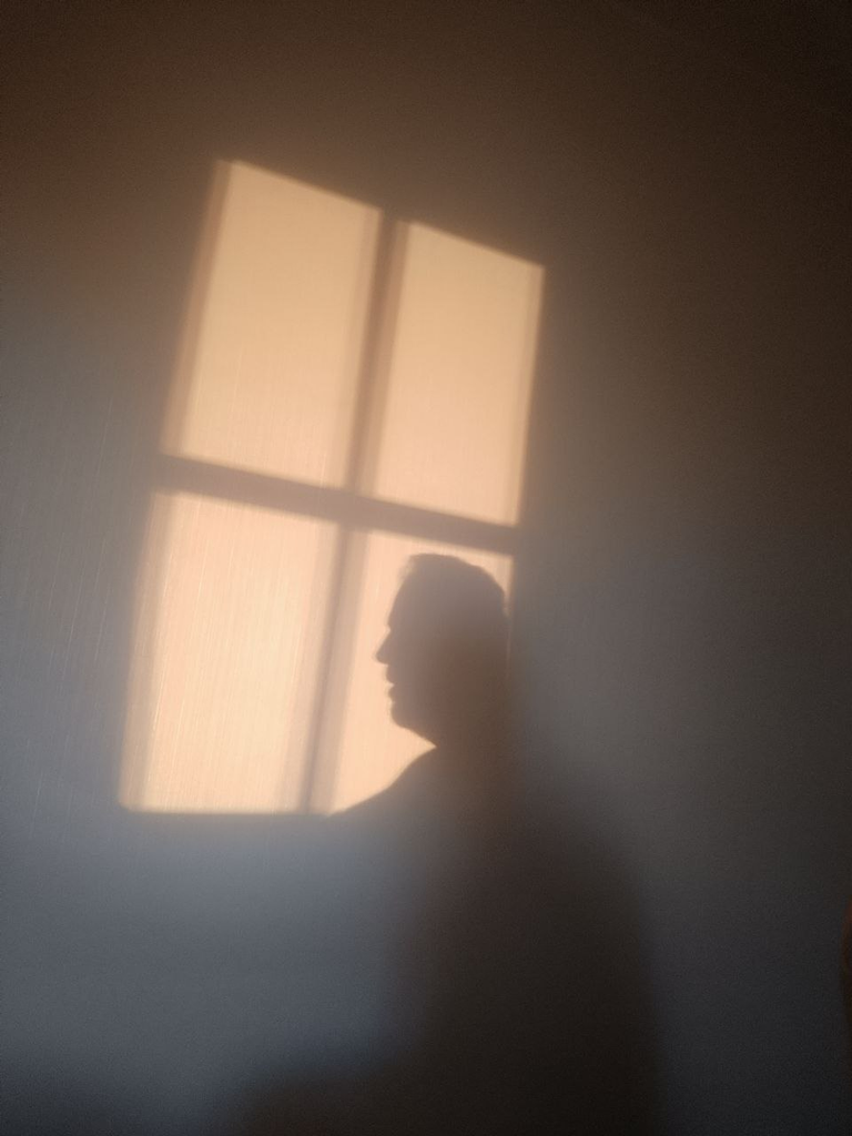 Entry for the Shadow Smash Contest (Round 374)