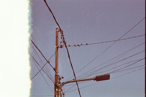THE ANNOYING PART OF POWER DISTRIBUTION COMPANY IN MY AREA.