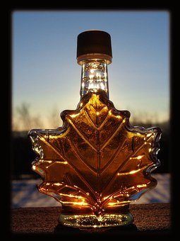 maple_709982_340.jpg