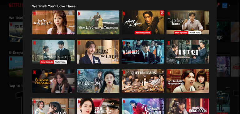 NETFLIX ACCOUNT SCREENCAPTURE
