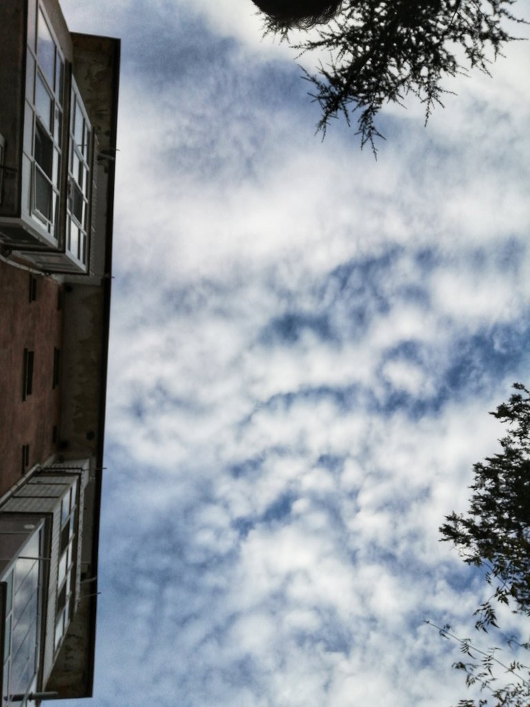 img_20211213_092547_01.jpeg