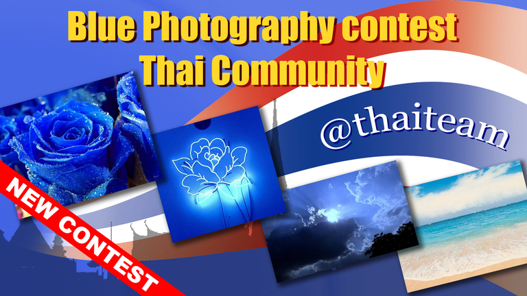 blue_photography_contest_2.png