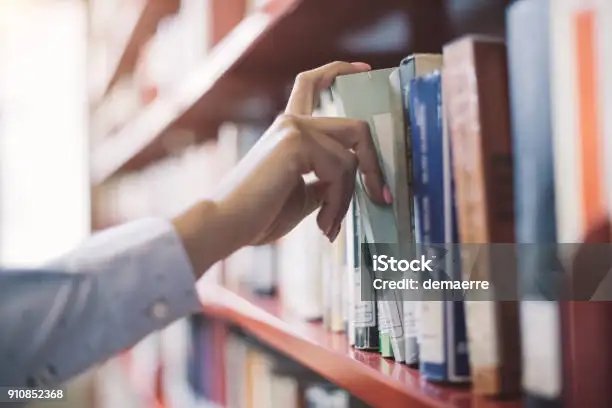 The book