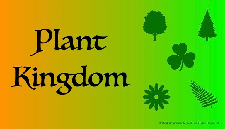 picture_hive_plant_kingdom.jpg