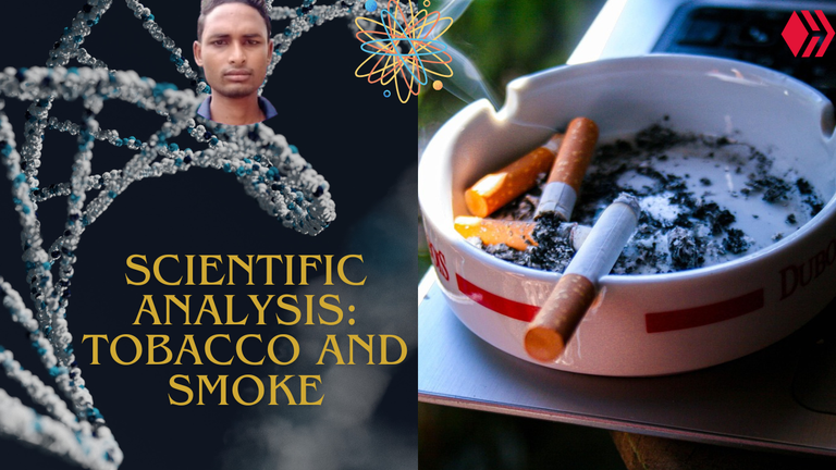 ‎Cigarettes, Tobacco, and Smoke: In the Light of Science, in Real-Life Experience. ‎
‎