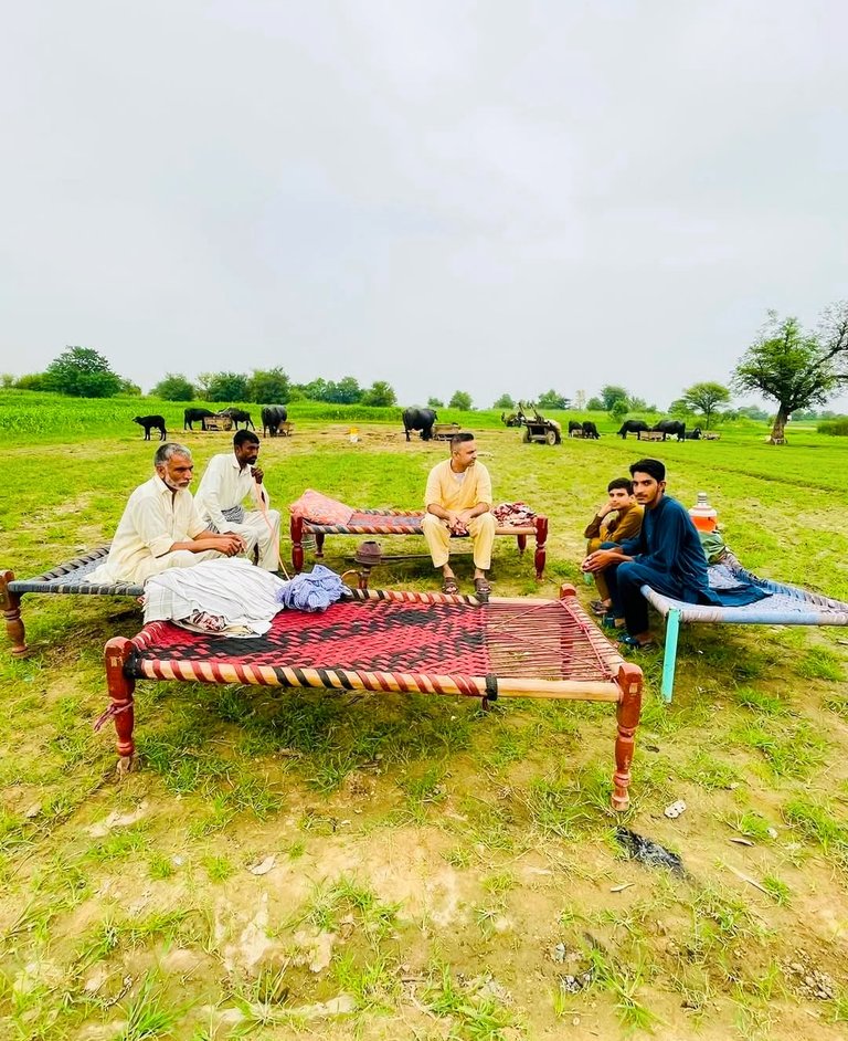 A beautiful glimpse of village life that is free from any kind of tedium