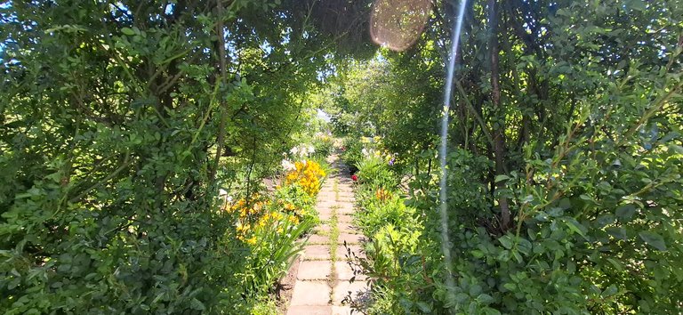 The Enchanted Garden – Where Light Dances Through the Leaves/Zaczarowany ogród – tam, gdzie światło tańczy wśród liści