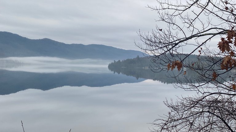 Fog on the water