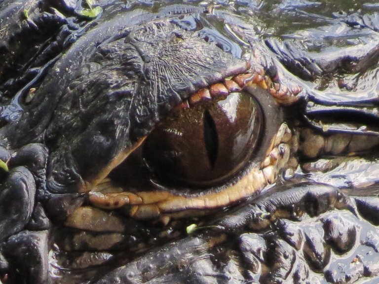 Florida - 2019