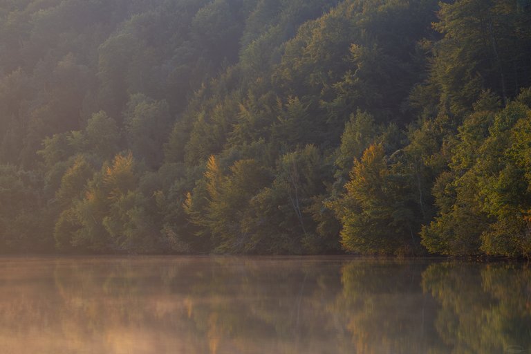 Autumnal Sunrise at the Reservoir - The Trees have begun to change Colour