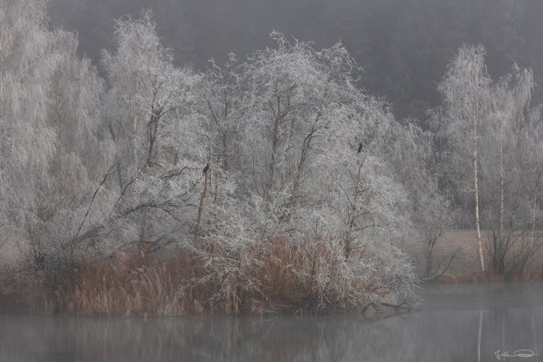 Hive AlphabetHunt Linsendorfer See Lake - Linsendorf and Lake Bohinj