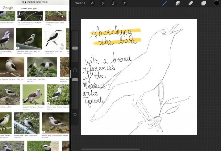sketching_the_bird.jpg