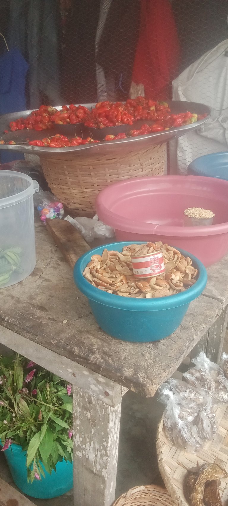Loh contest #252: Feed the community
