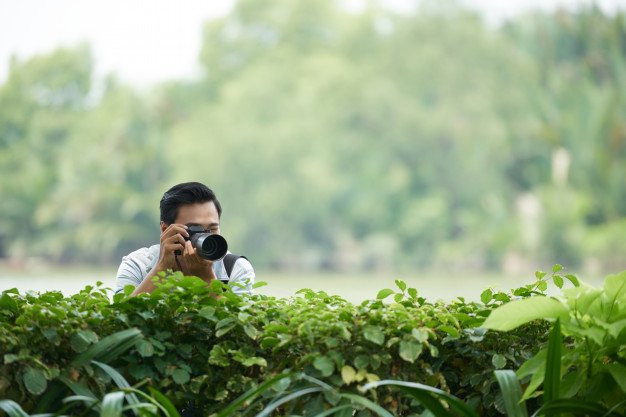 asian_man_with_professional_camera_peering_green_hedge_park_taking_photos_1098_17747.jpg