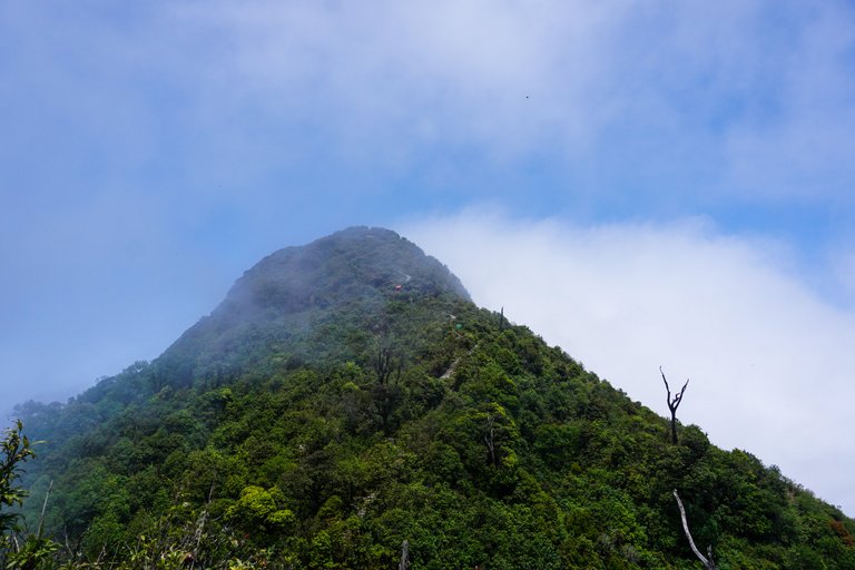 dsc09376_hys_min.jpg
