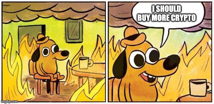 67fhjj.jpeg